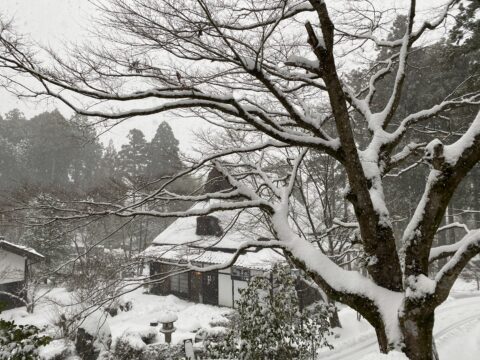 大雪情報にともなう営業について