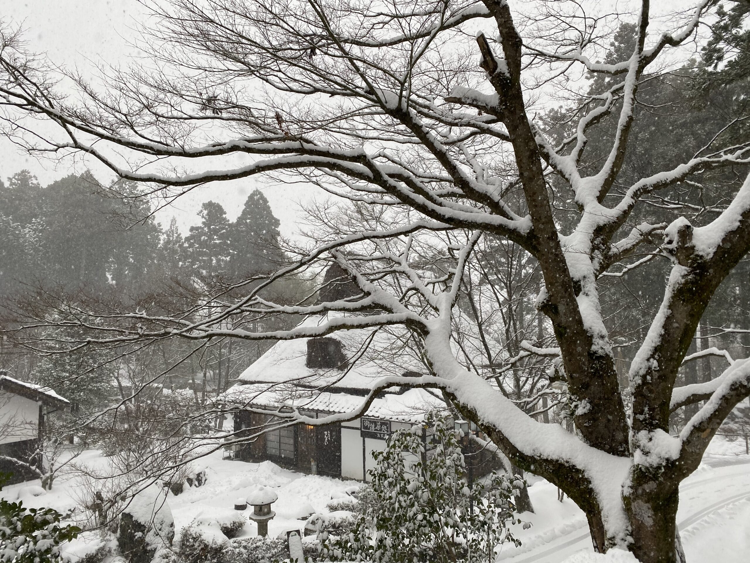 大雪情報にともなう営業について