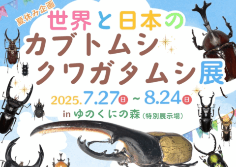 2025年夏　世界と日本のカブトムシ・クワガタムシ展