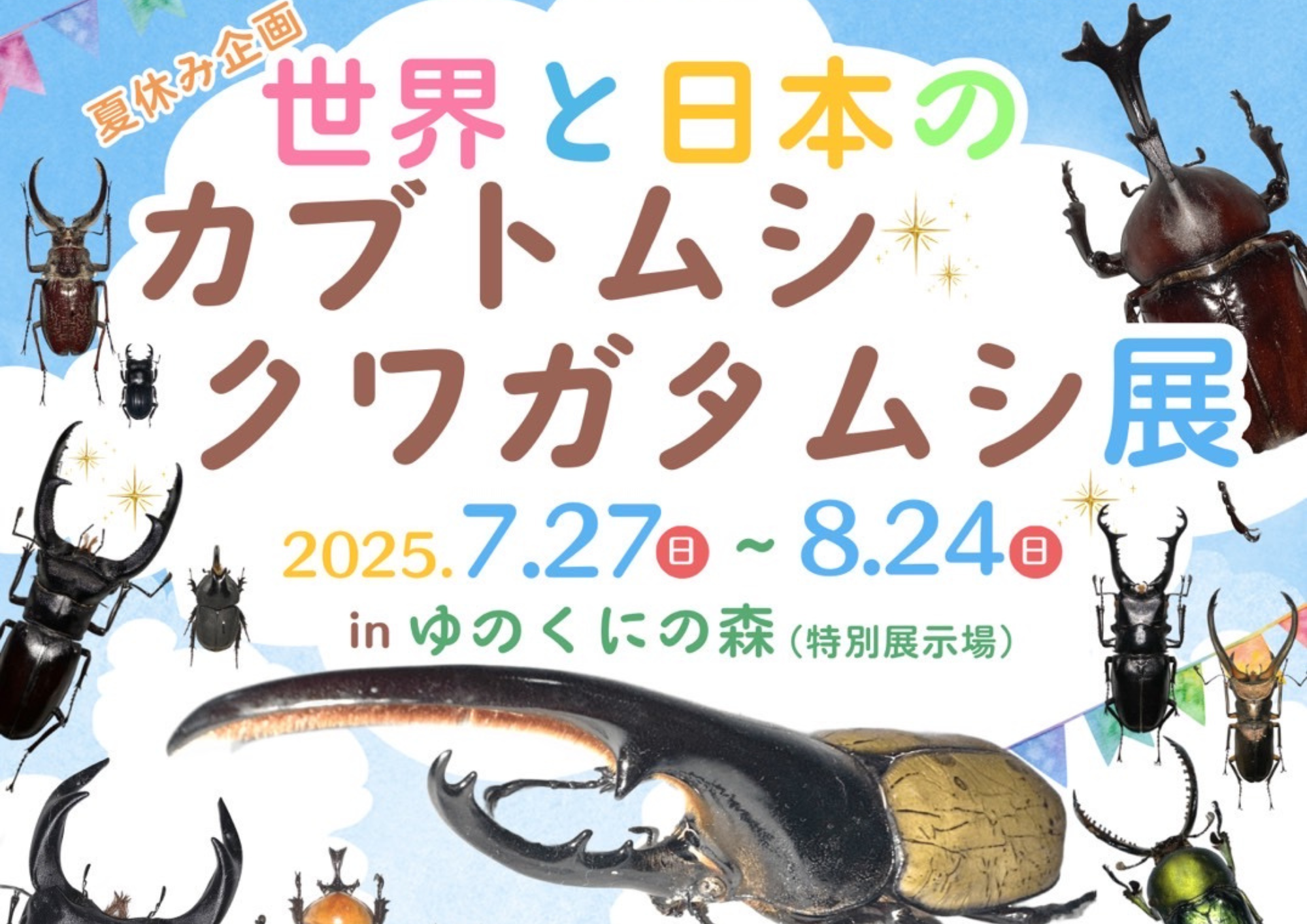 2025年夏 世界と日本のカブトムシ・クワガタムシ展