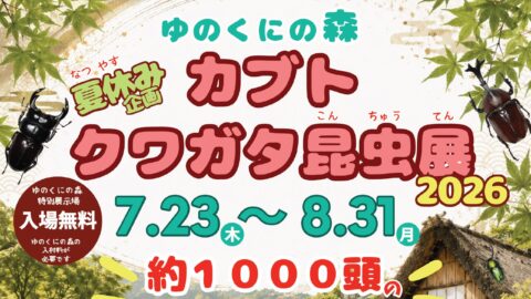 カブト・クワガタ昆虫展２０２６